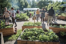 Pěstuj město: Festival městského pěstování a kompostování 2021